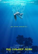 Under the Silver Lake